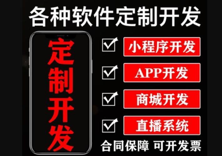 广州南沙区软件开发定制外包排名红匣子科技